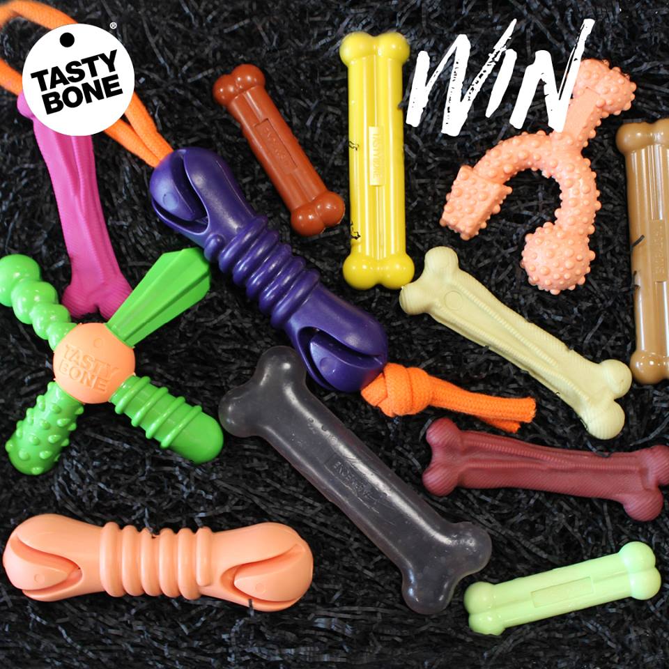 Productos Tasty Bone
