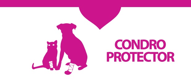 Condroprotector Cuidamasc