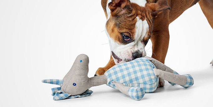 Productos Hunter para mascotas
