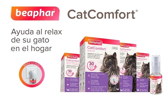Beaphar CatComfort para el estrés y la ansiedad en los gatos