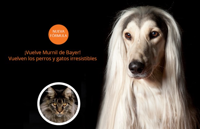 Murnil, complemento alimenticio para perros y gatos de Bayer