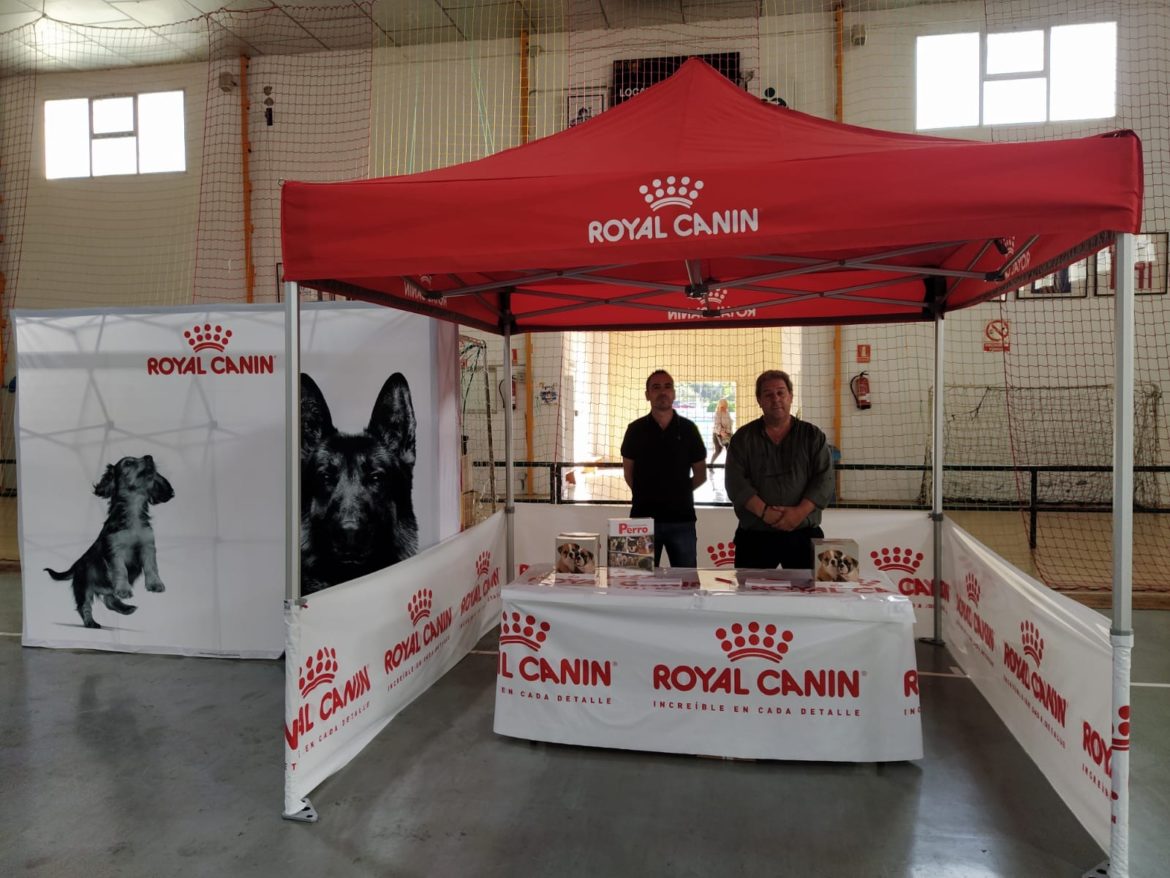 VIII Concurso canino de Altea