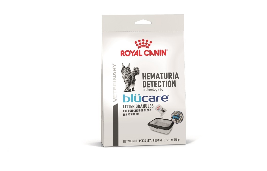 Detección de la hematuria con Blue Care de Royal Canin