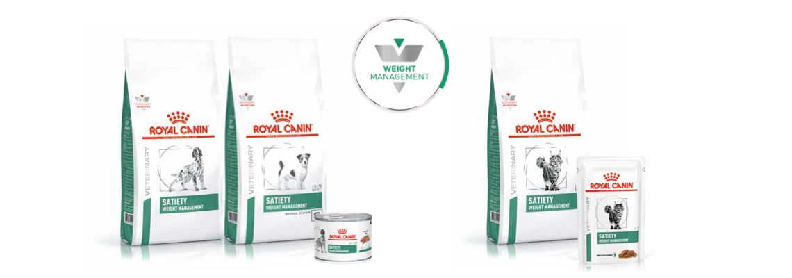 Novedades Weight Management de Royal Canin