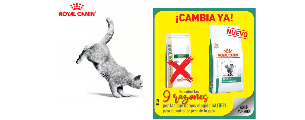 9 razones por las que Royal Canin ha elegido Satiety para el control del peso de tu gato