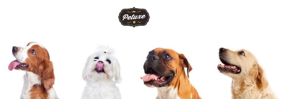 Petuxe, champú y cosméticos veganos para mascotas