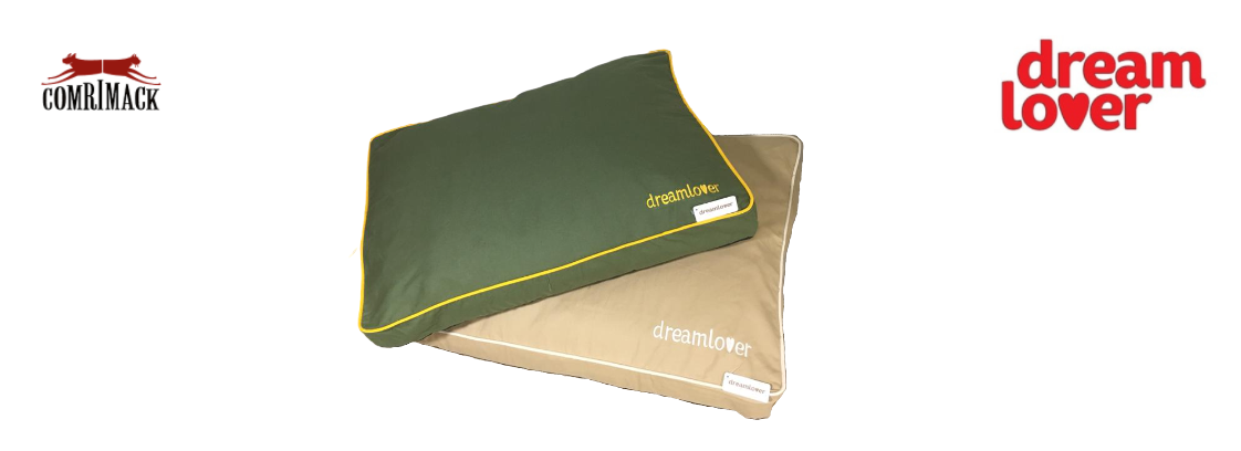 Nueva Dream Lover Soft