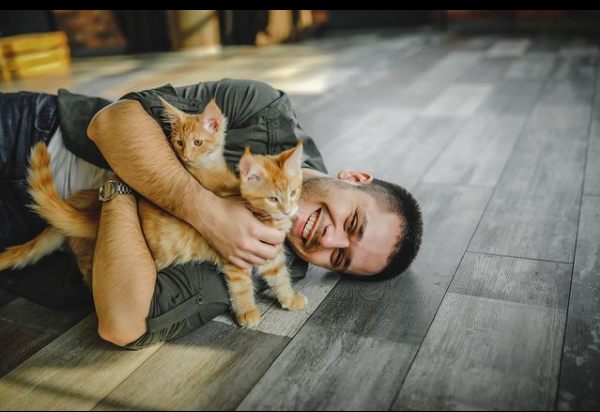 Influencers recomiendan Applaws para sus gatos