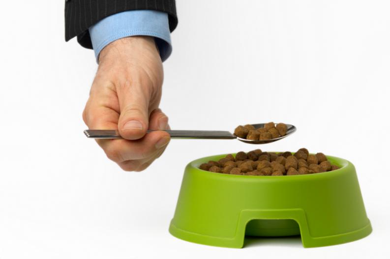 ¿Probarías la comida de tu perro? ¡Nosotros sí!