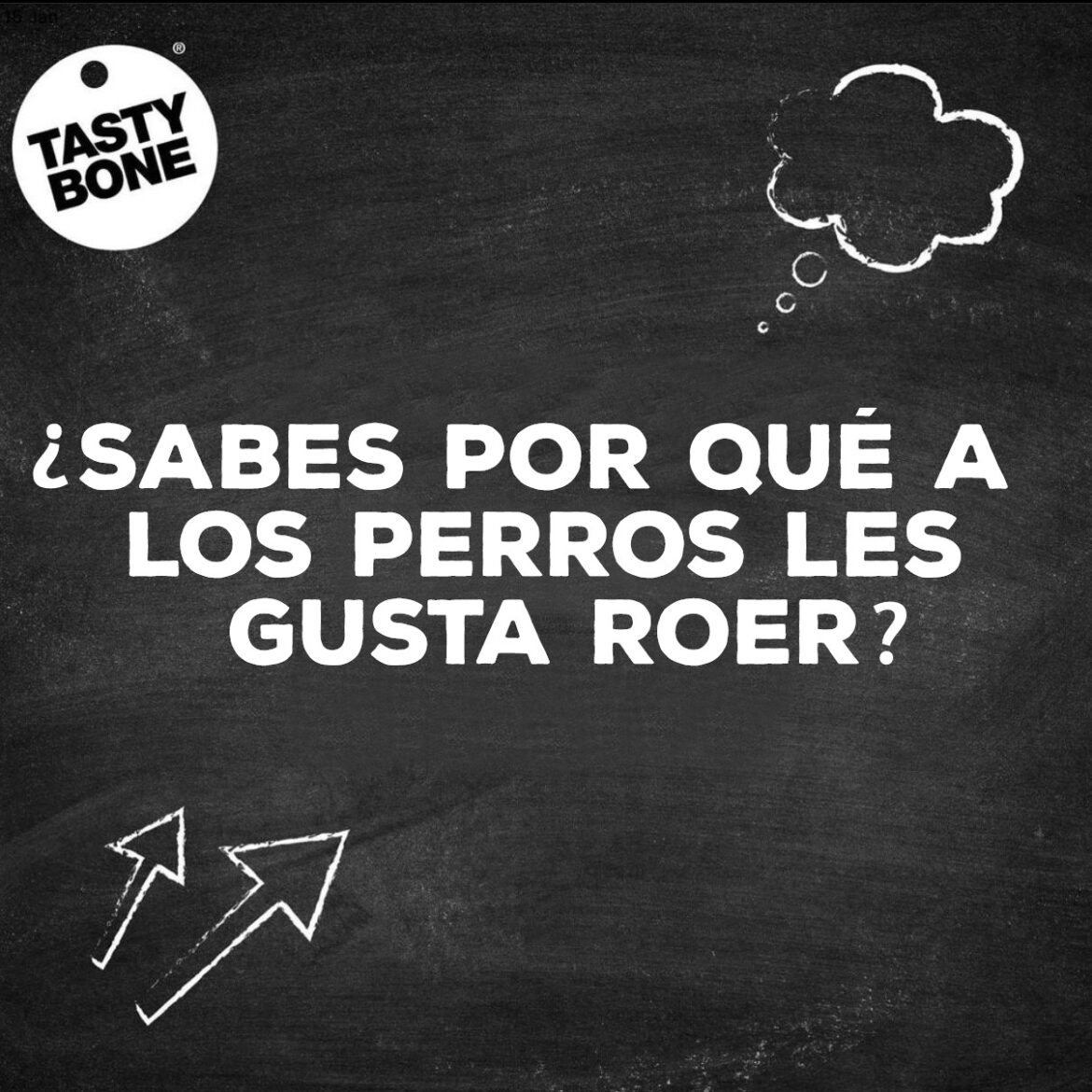 ¿Por qué a los perros les gusta roer?