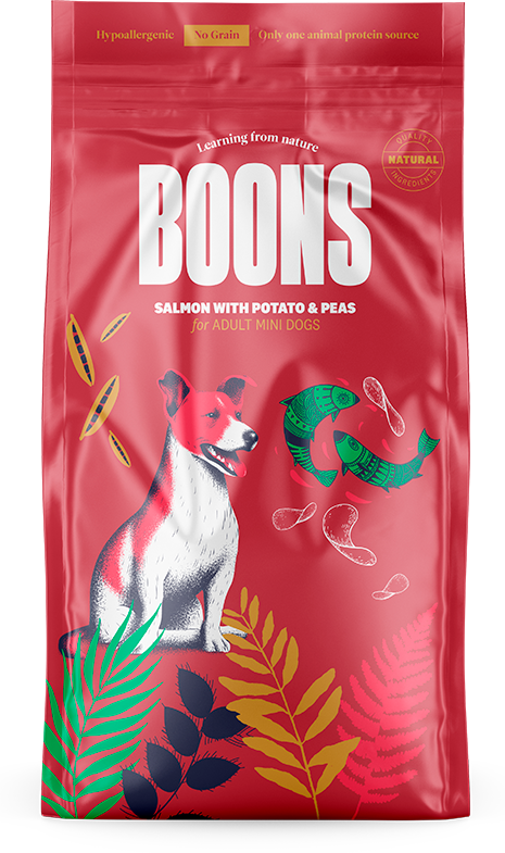 Boons la marca con las ideas claras