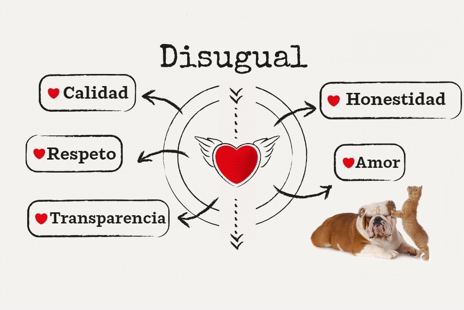 Disugual alimentos para perros y gatos