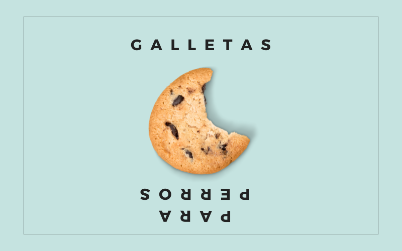 ¡Galletas para Perro: El premio natural ideal entre Horas! 🐾